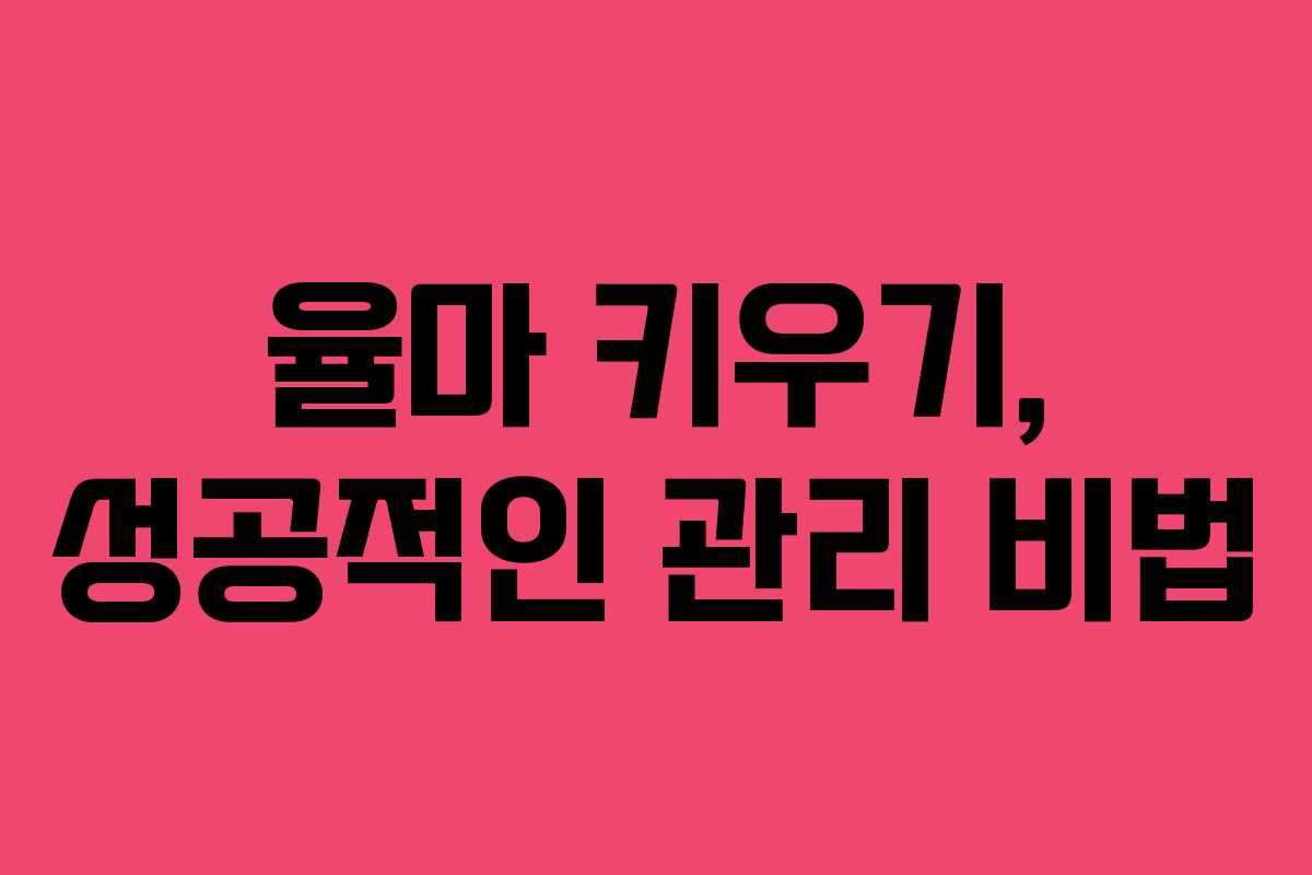 율마 키우기, 성공적인 관리 비법