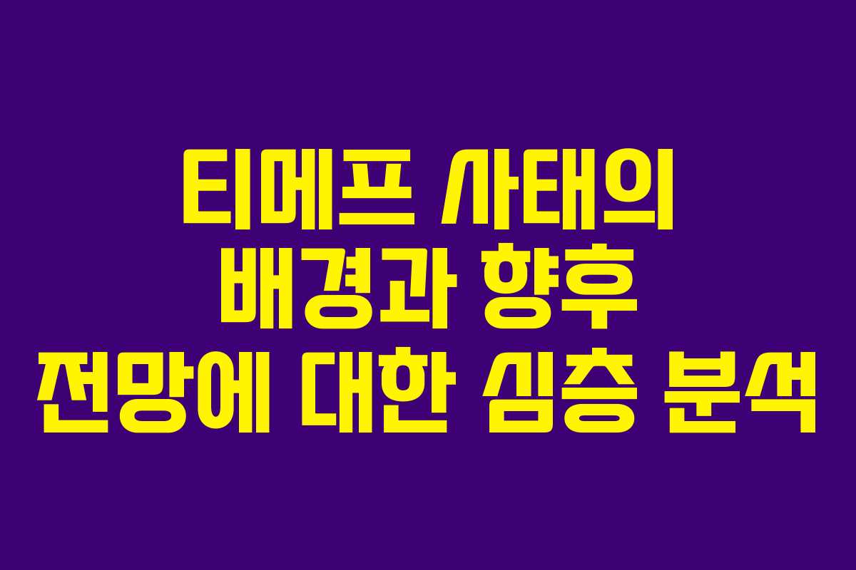 티메프 사태의 배경과 향후 전망에 대한 심층 분석