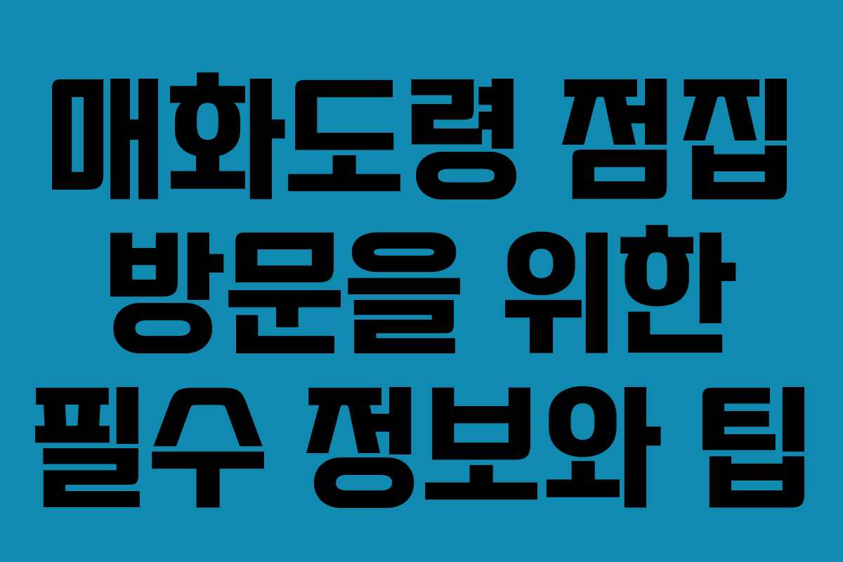 매화도령 점집 방문을 위한 필수 정보와 팁