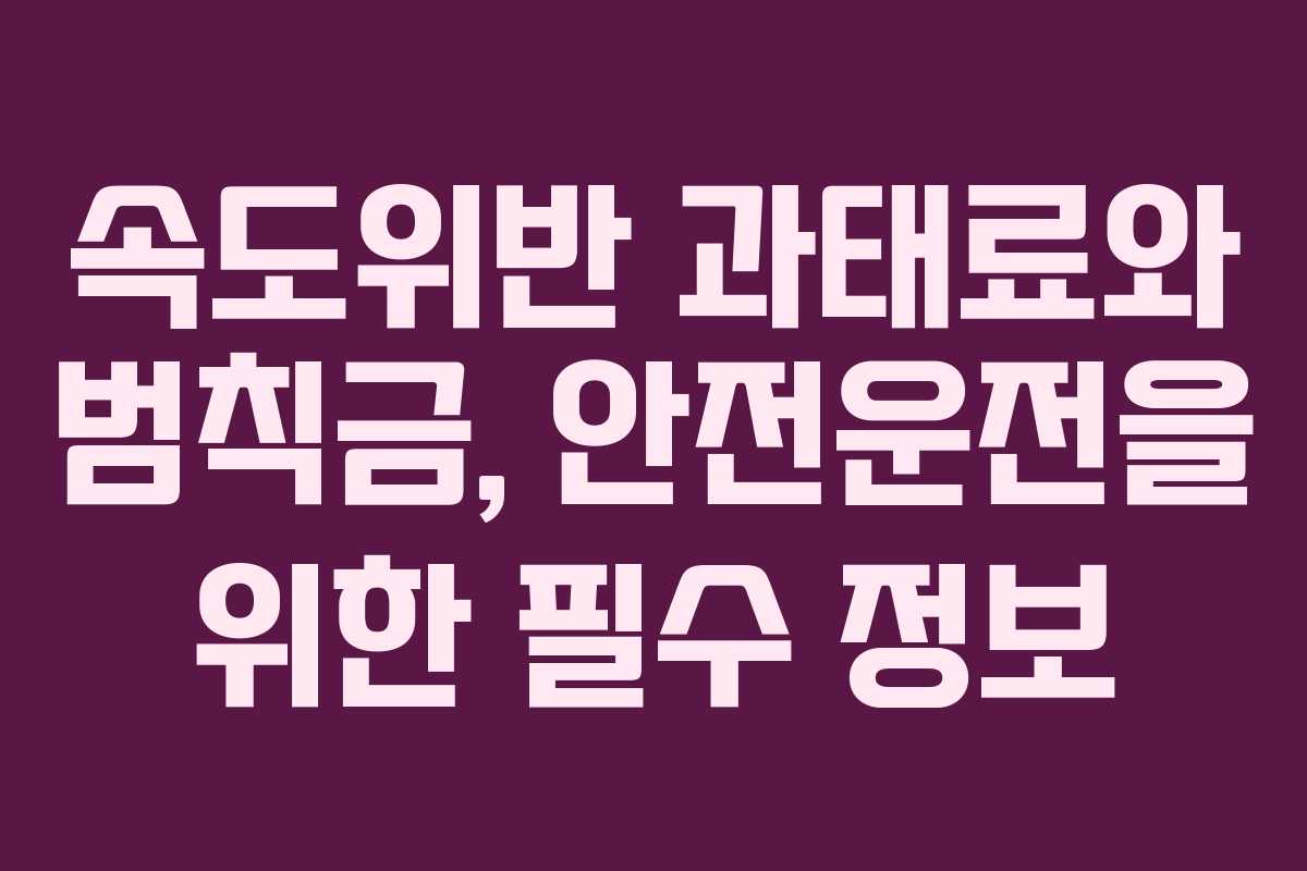 속도위반 과태료와 범칙금, 안전운전을 위한 필수 정보