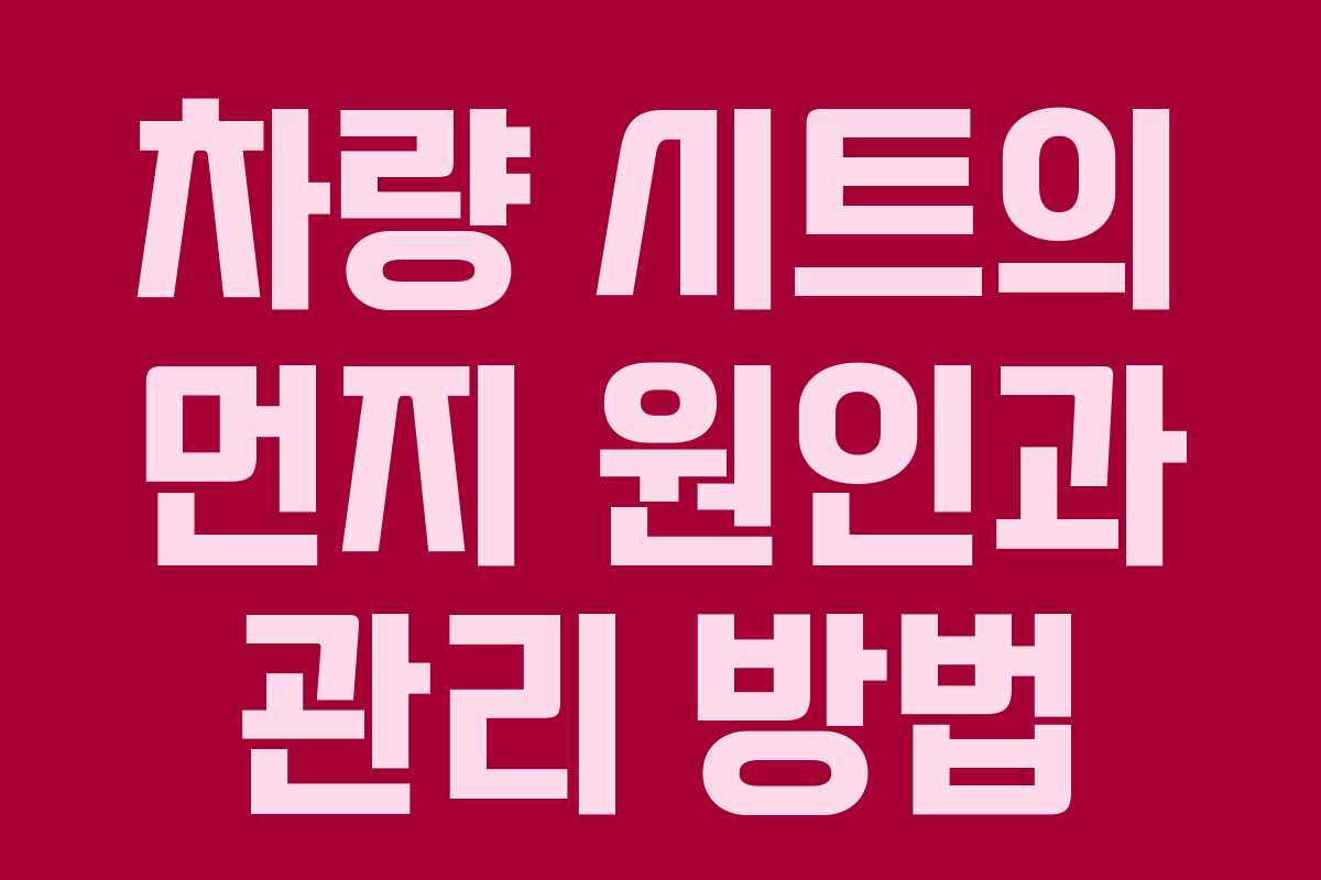 차량 시트의 먼지 원인과 관리 방법