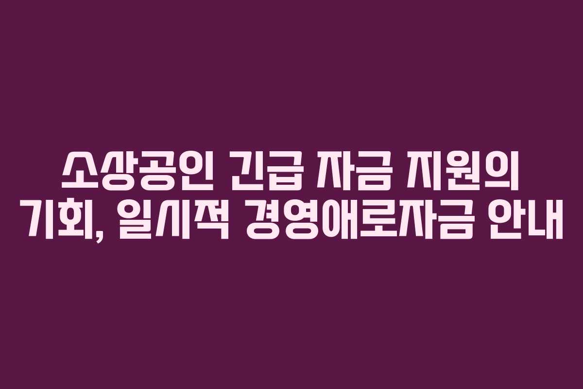 소상공인 긴급 자금 지원의 기회, 일시적 경영애로자금 안내