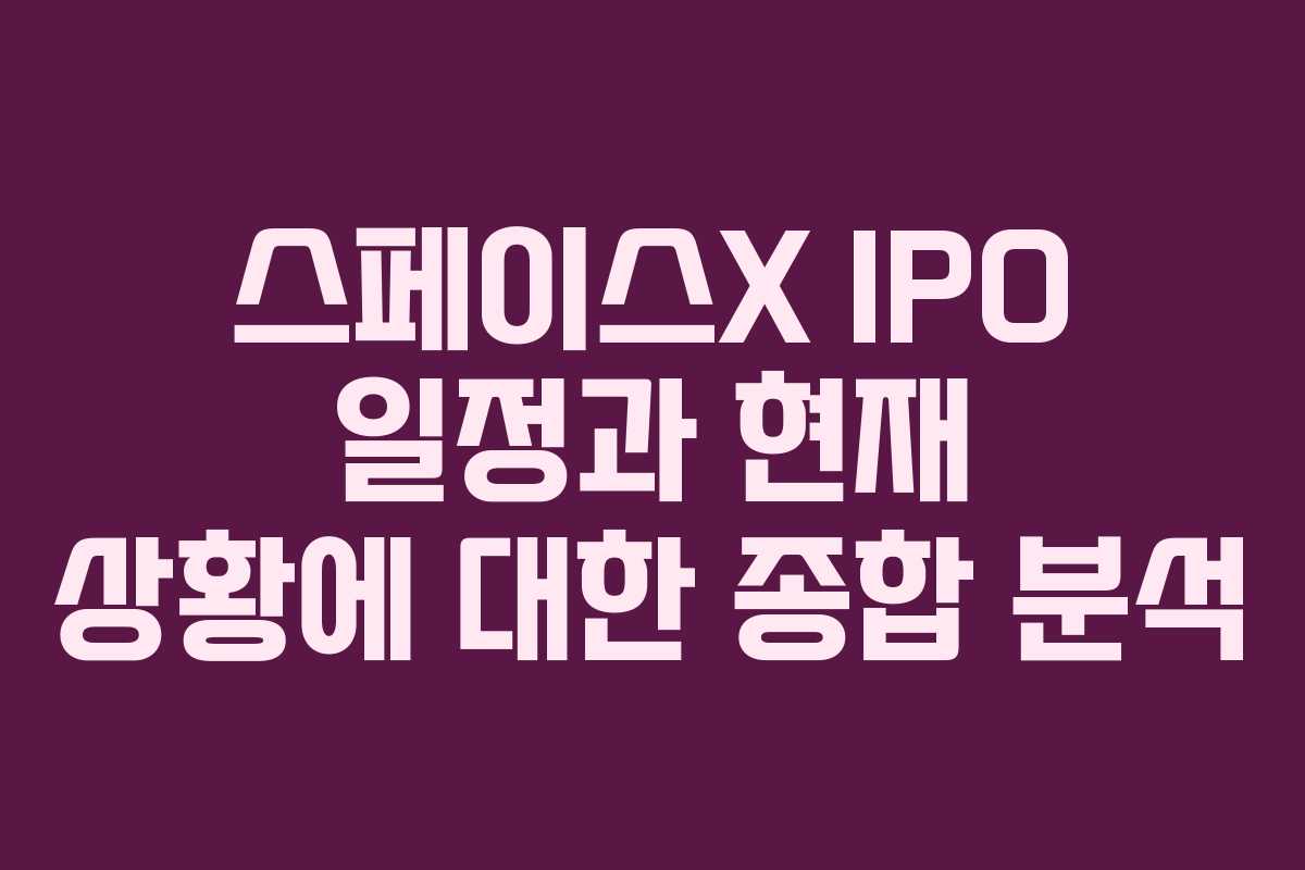 스페이스X IPO 일정과 현재 상황에 대한 종합 분석
