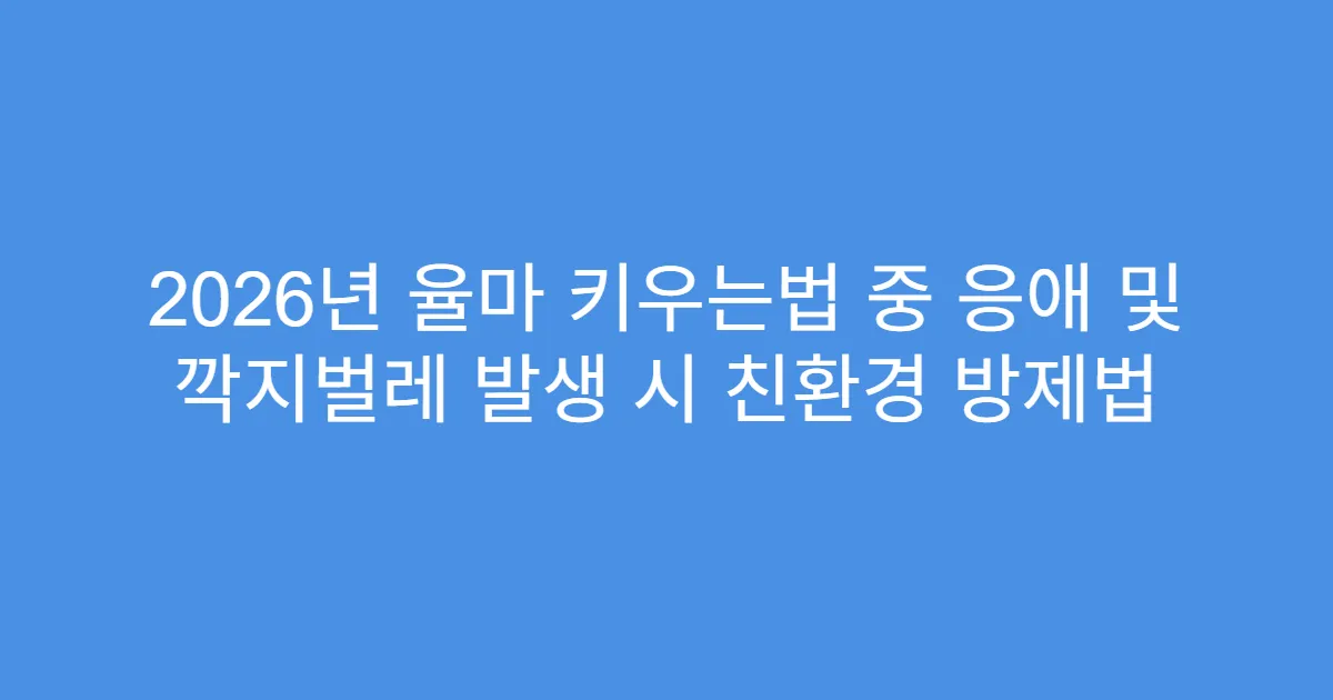 2026년 율마 키우는법 중 응애 및 깍지벌레 발생 시 친환경 방제법