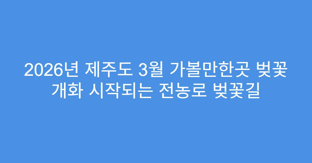 2026년 제주도 3월 가볼만한곳 벚꽃 개화 시작되는 전농로 벚꽃길