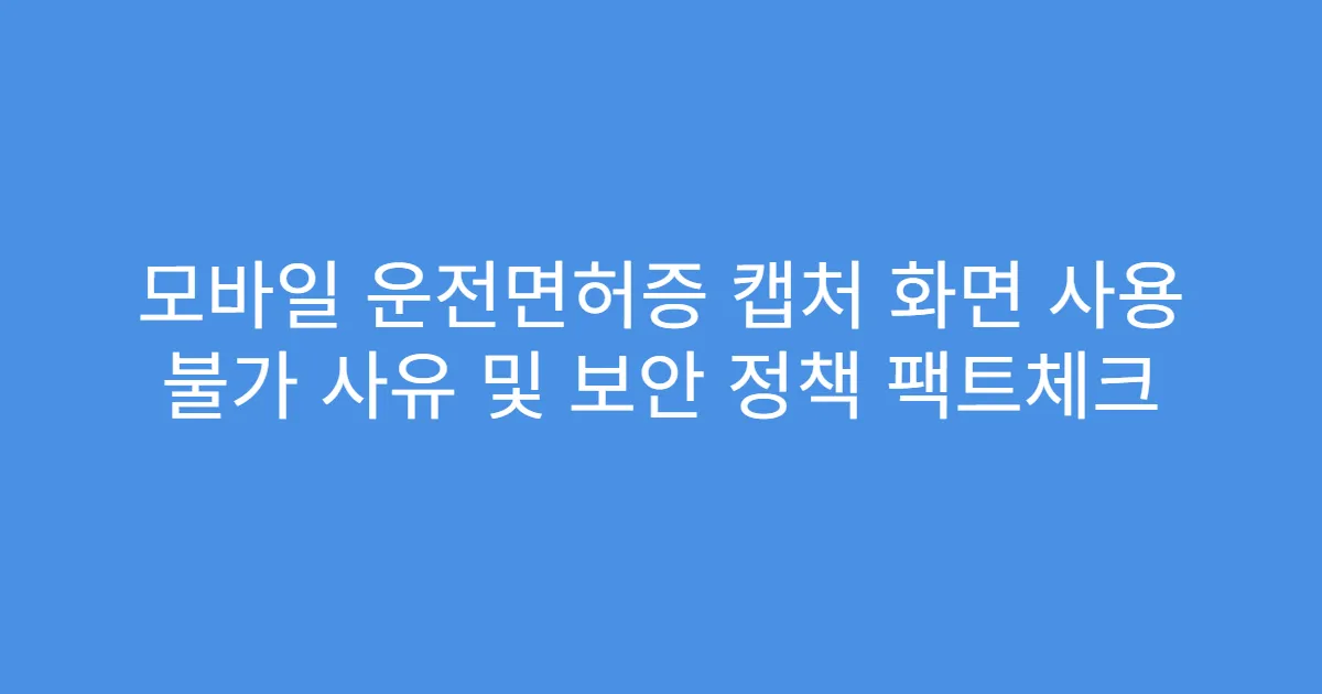 모바일 운전면허증 캡처 화면 사용 불가 사유 및 보안 정책 팩트체크