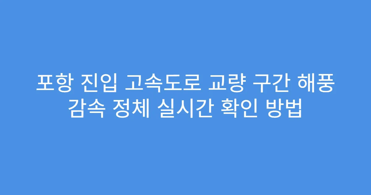 포항 진입 고속도로 교량 구간 해풍 감속 정체 실시간 확인 방법