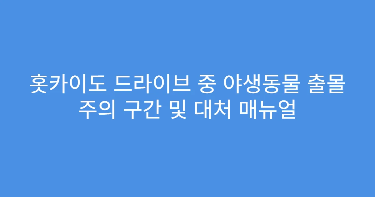 홋카이도 드라이브 중 야생동물 출몰 주의 구간 및 대처 매뉴얼