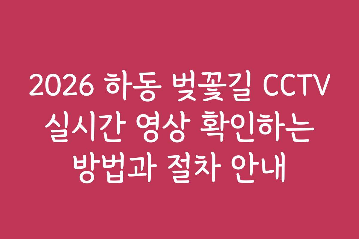 2026 하동 벚꽃길 CCTV 실시간 영상 확인하는 방법과 절차 안내