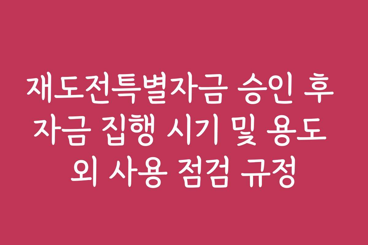 재도전특별자금 승인 후 자금 집행 시기 및 용도 외 사용 점검 규정