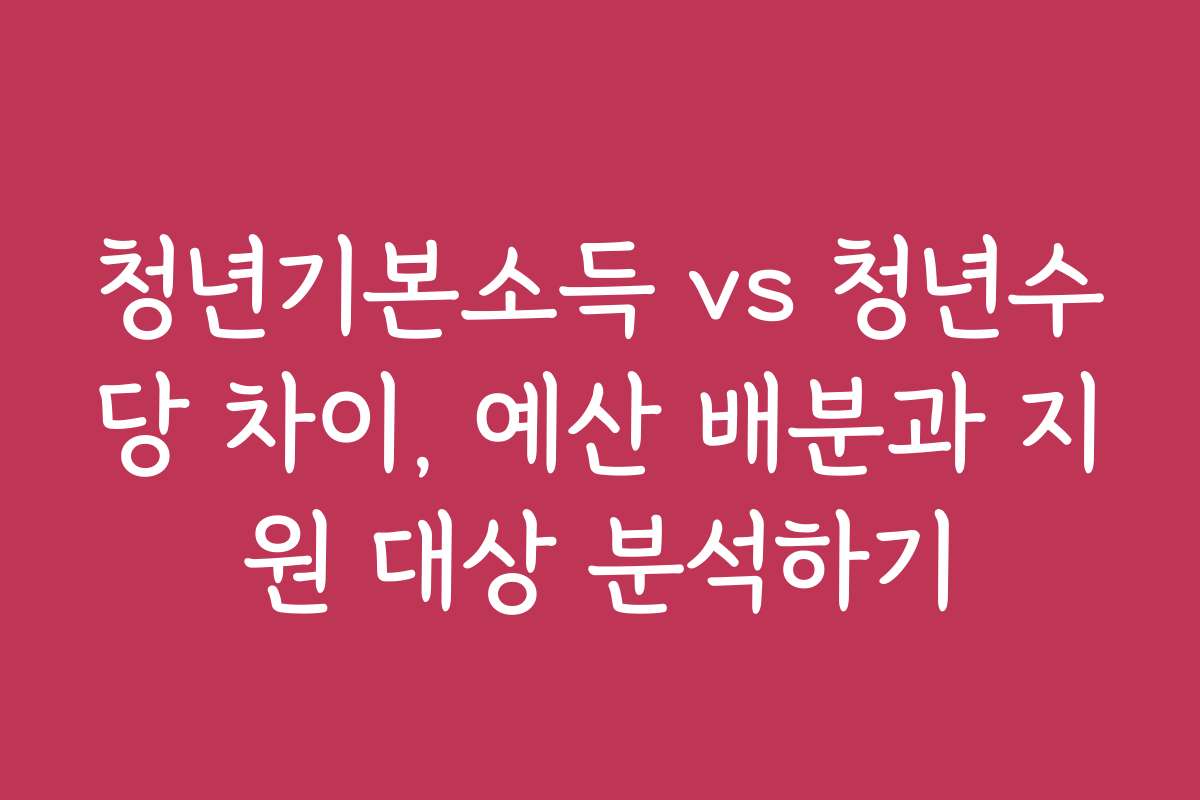 청년기본소득 vs 청년수당 차이, 예산 배분과 지원 대상 분석하기