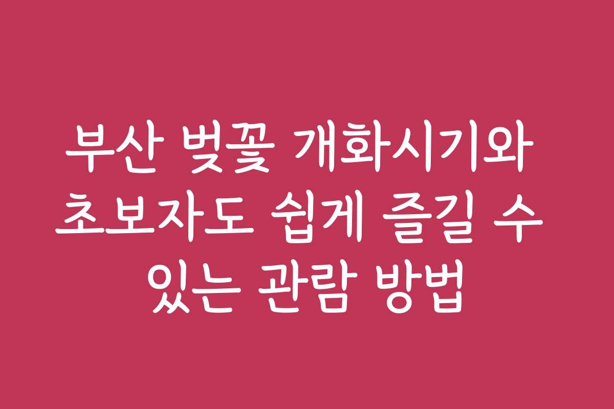 부산 벚꽃 개화시기와 초보자도 쉽게 즐길 수 있는 관람 방법