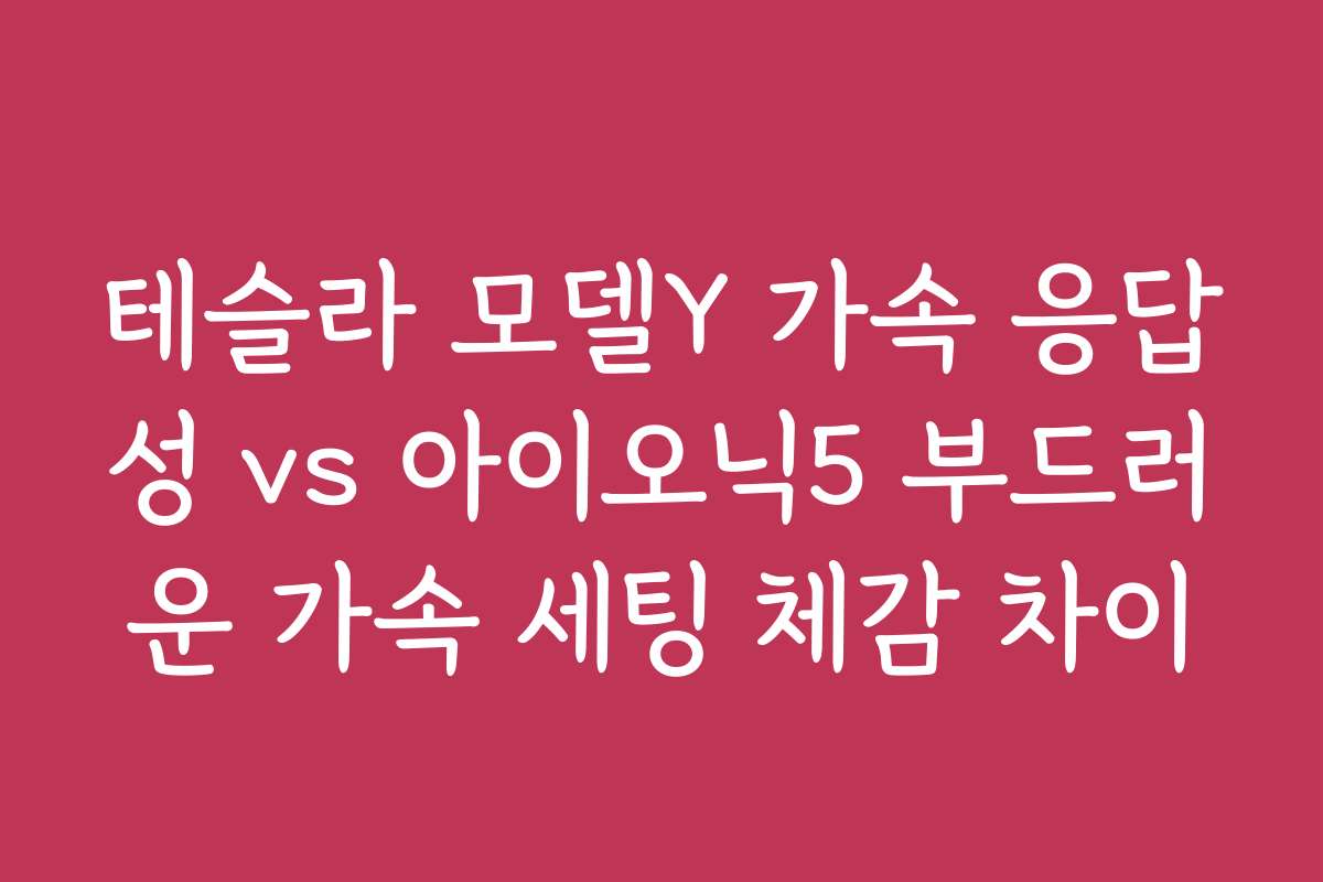 테슬라 모델Y 가속 응답성 vs 아이오닉5 부드러운 가속 세팅 체감 차이