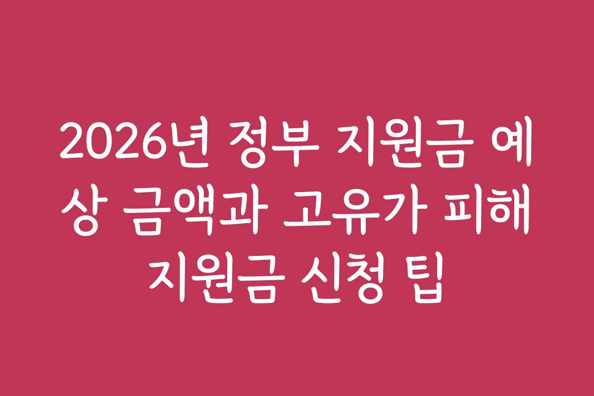 2026년 정부 지원금 예상 금액과 고유가 피해지원금 신청 팁