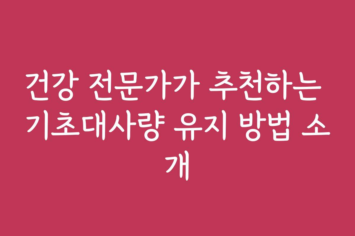 건강 전문가가 추천하는 기초대사량 유지 방법 소개