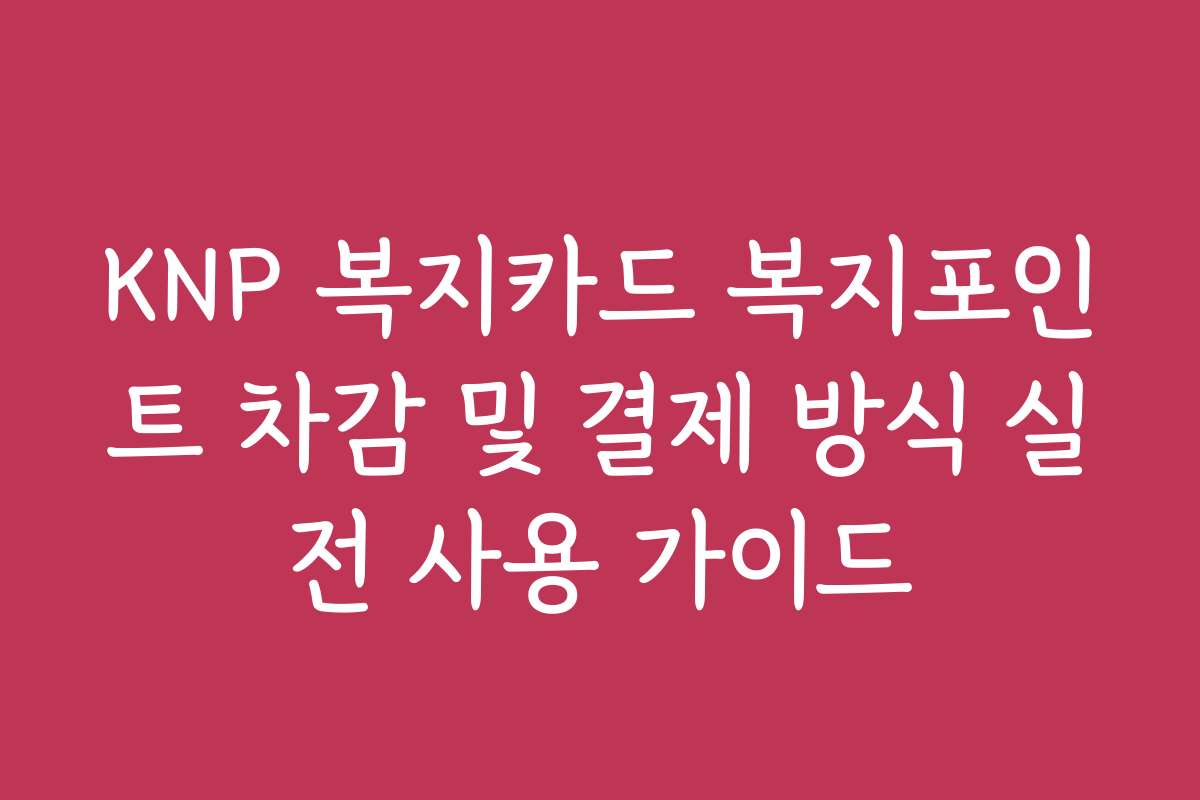 KNP 복지카드 복지포인트 차감 및 결제 방식 실전 사용 가이드