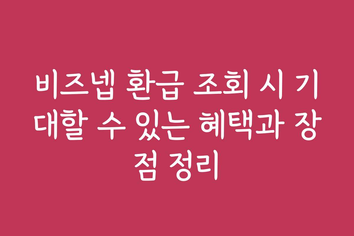 비즈넵 환급 조회 시 기대할 수 있는 혜택과 장점 정리