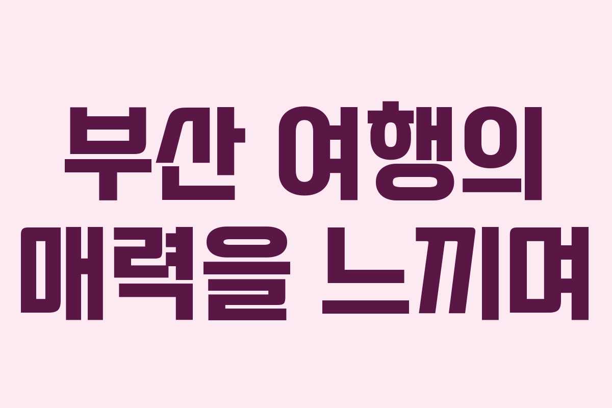 부산 여행의 매력을 느끼며