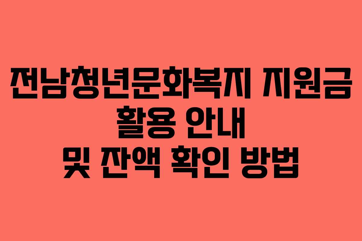 전남청년문화복지 지원금 활용 안내 및 잔액 확인 방법