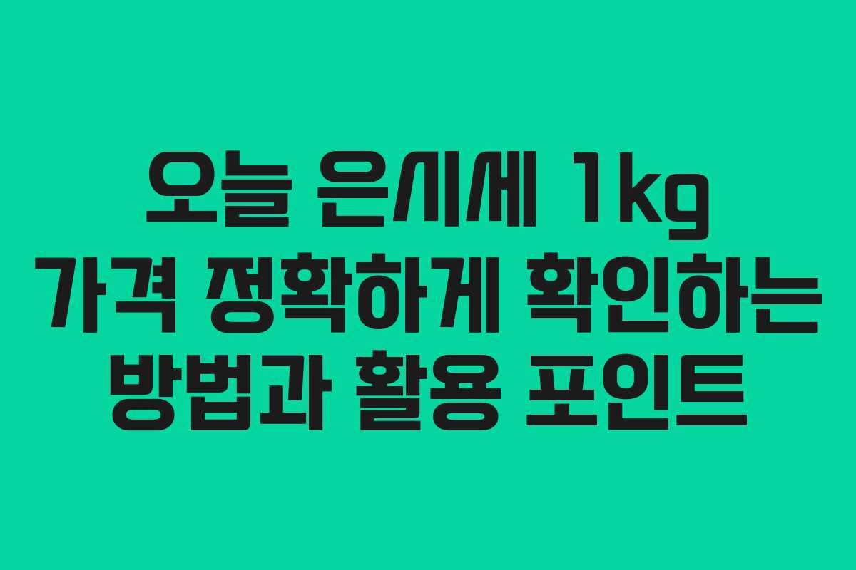 오늘 은시세 1kg 가격 정확하게 확인하는 방법과 활용 포인트