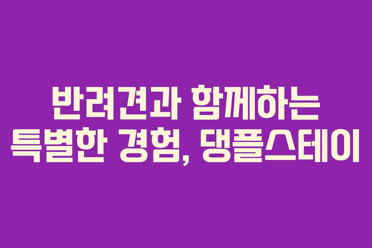 반려견과 함께하는 특별한 경험, 댕플스테이