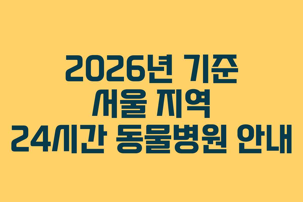 2026년-기준-서울-지역-24시간-동물병원-안내