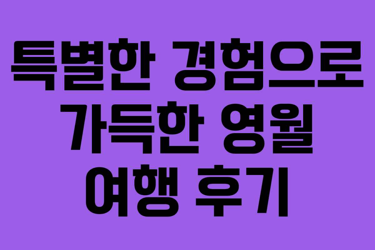 특별한 경험으로 가득한 영월 여행 후기