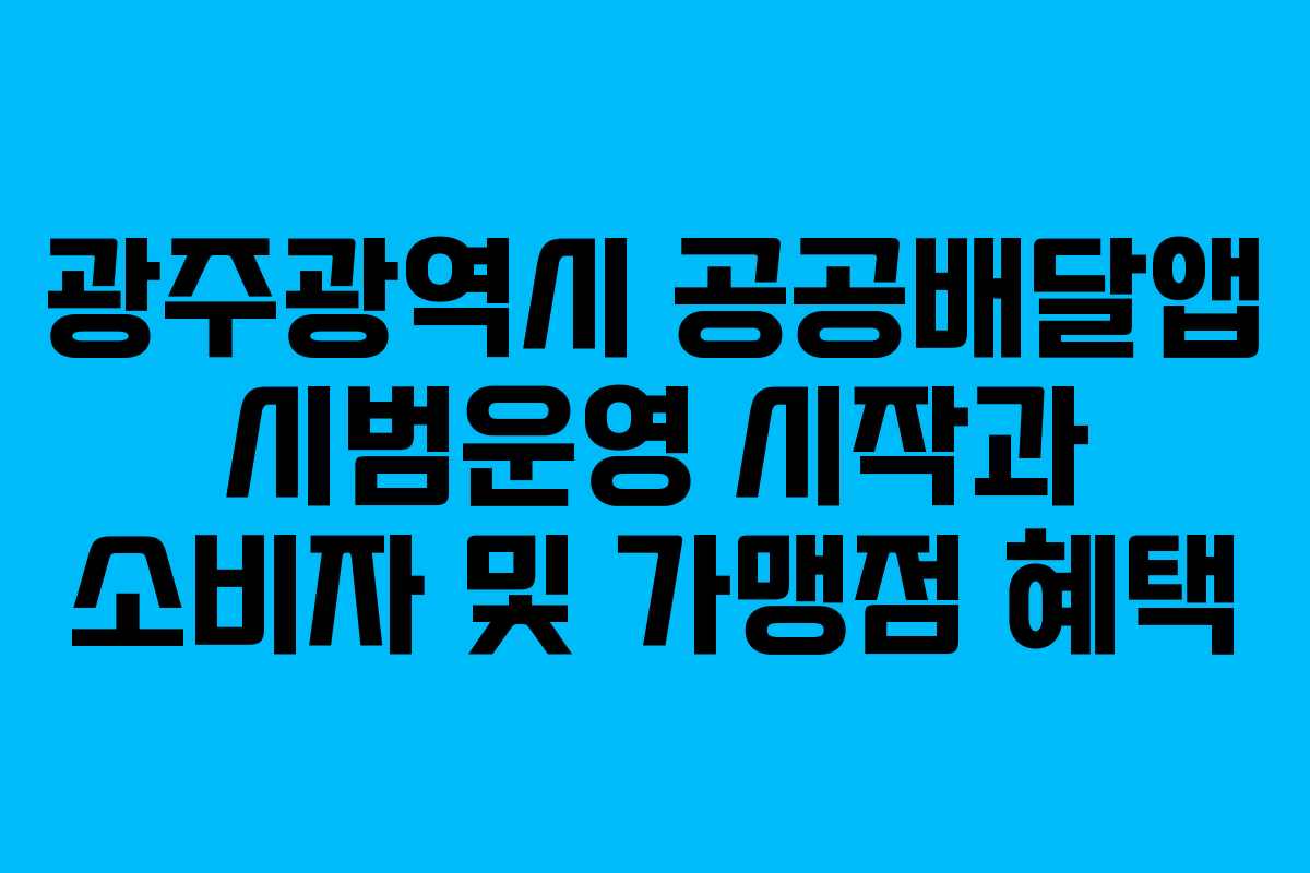 광주광역시 공공배달앱 시범운영 시작과 소비자 및 가맹점 혜택