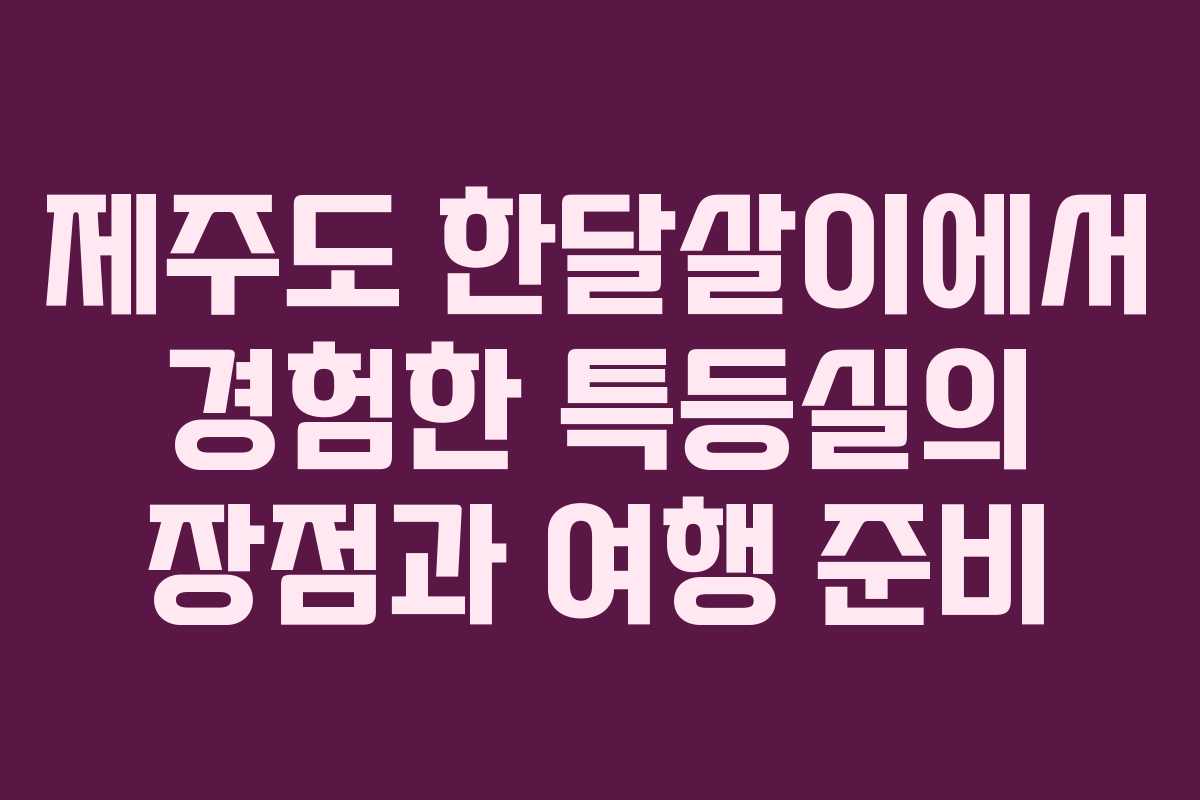 제주도 한달살이에서 경험한 특등실의 장점과 여행 준비