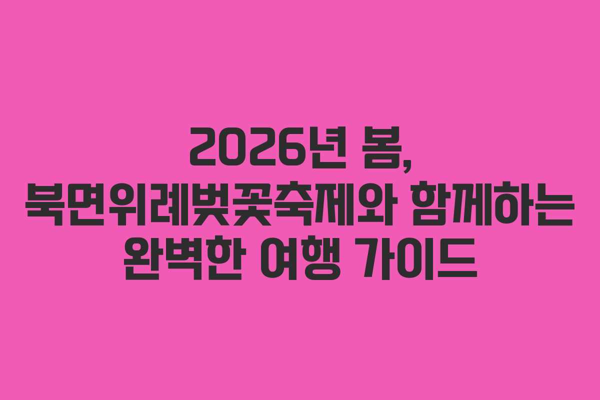 2026년 봄, 북면위례벚꽃축제와 함께하는 완벽한 여행 가이드