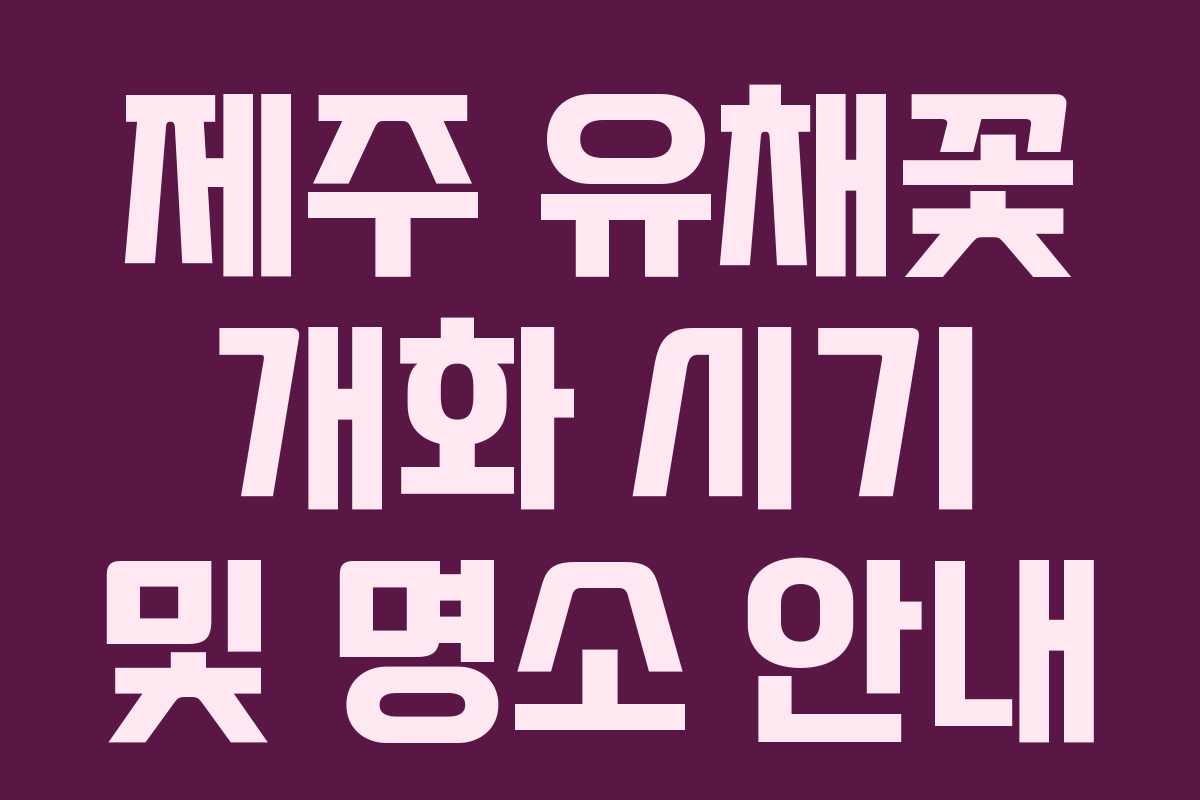 제주 유채꽃 개화 시기 및 명소 안내