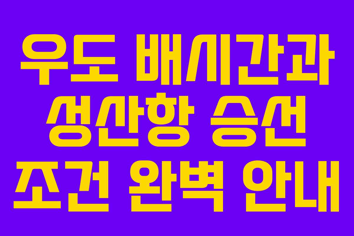 우도 배시간과 성산항 승선 조건 완벽 안내