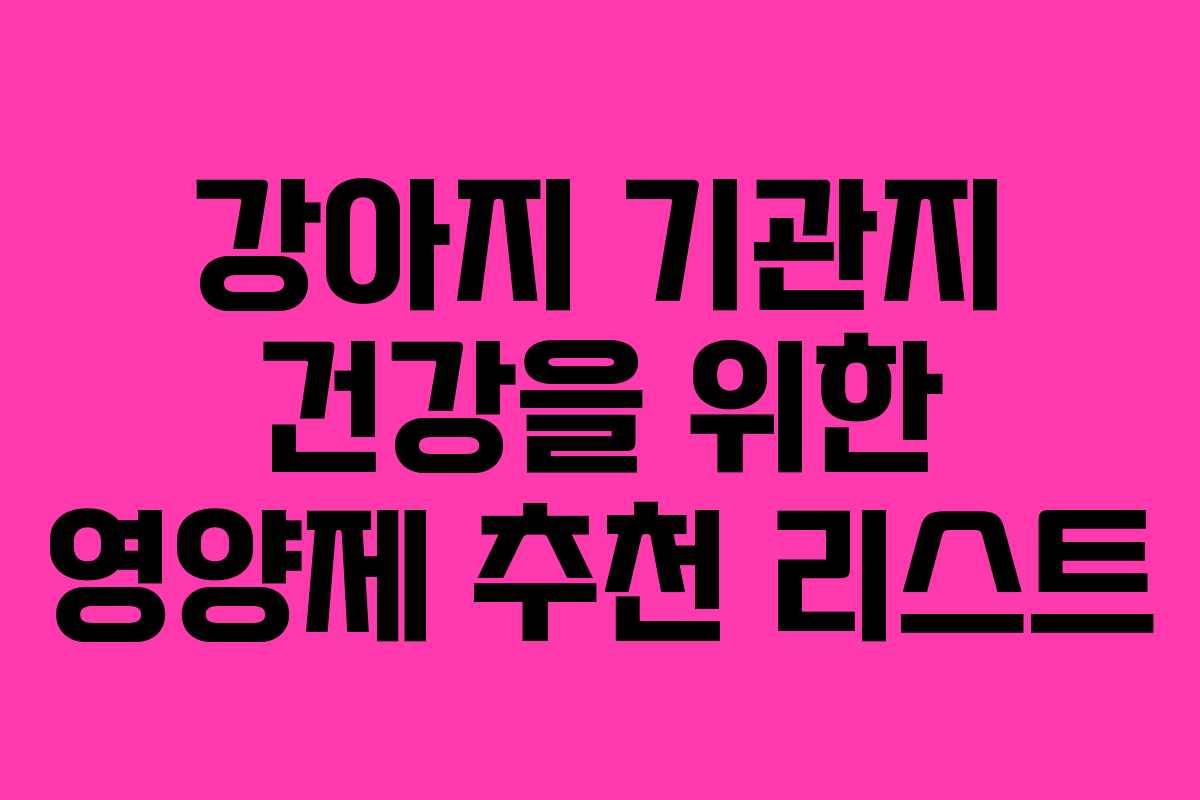 강아지 기관지 건강을 위한 영양제 추천 리스트