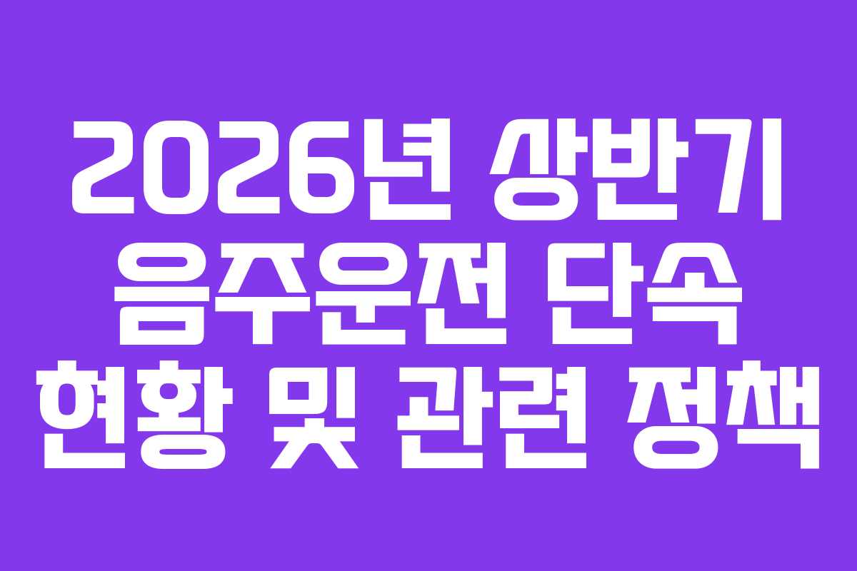 2026년 상반기 음주운전 단속 현황 및 관련 정책