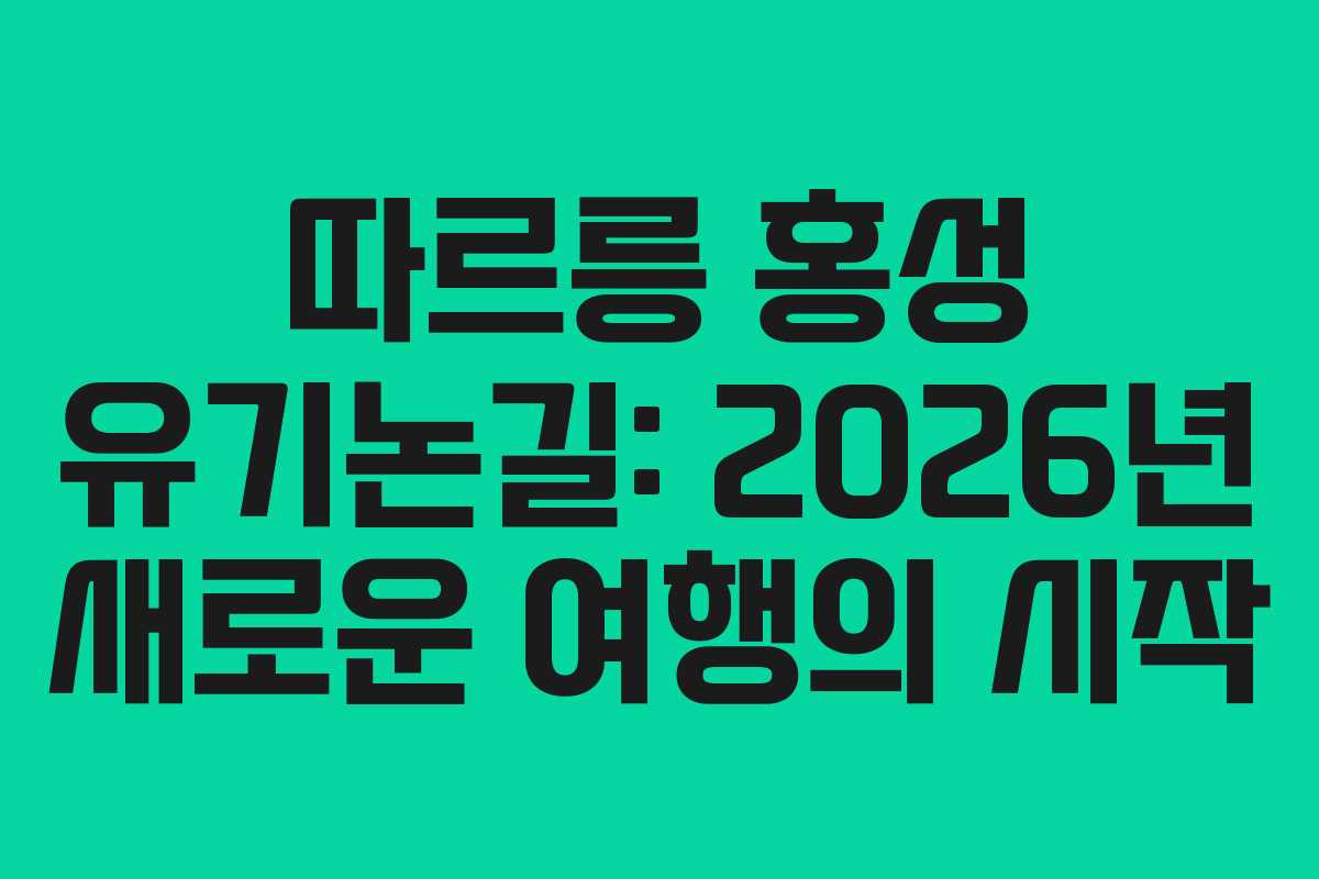 따르릉 홍성 유기논길: 2026년 새로운 여행의 시작