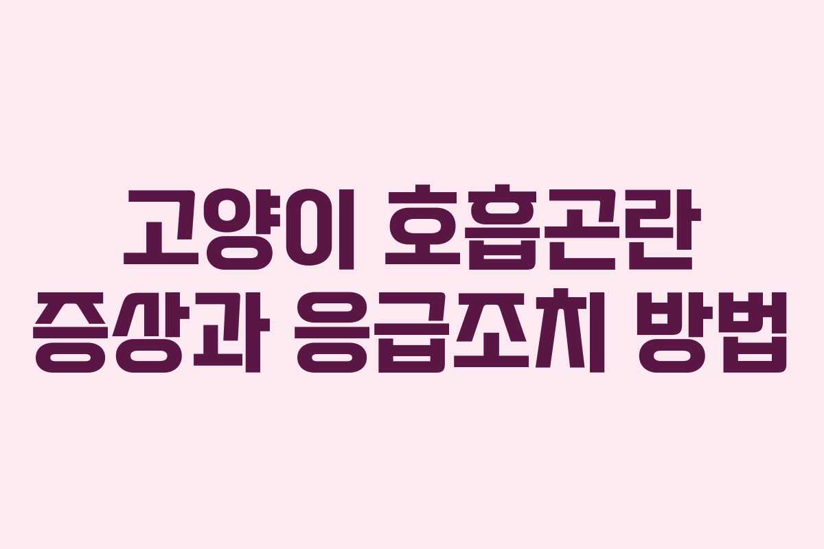 고양이 호흡곤란 증상과 응급조치 방법
