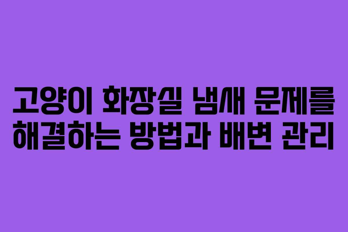 고양이 화장실 냄새 문제를 해결하는 방법과 배변 관리