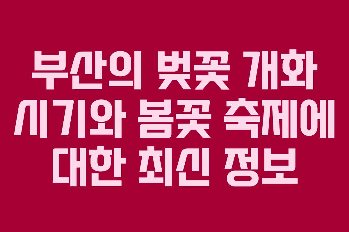 부산의 벚꽃 개화 시기와 봄꽃 축제에 대한 최신 정보