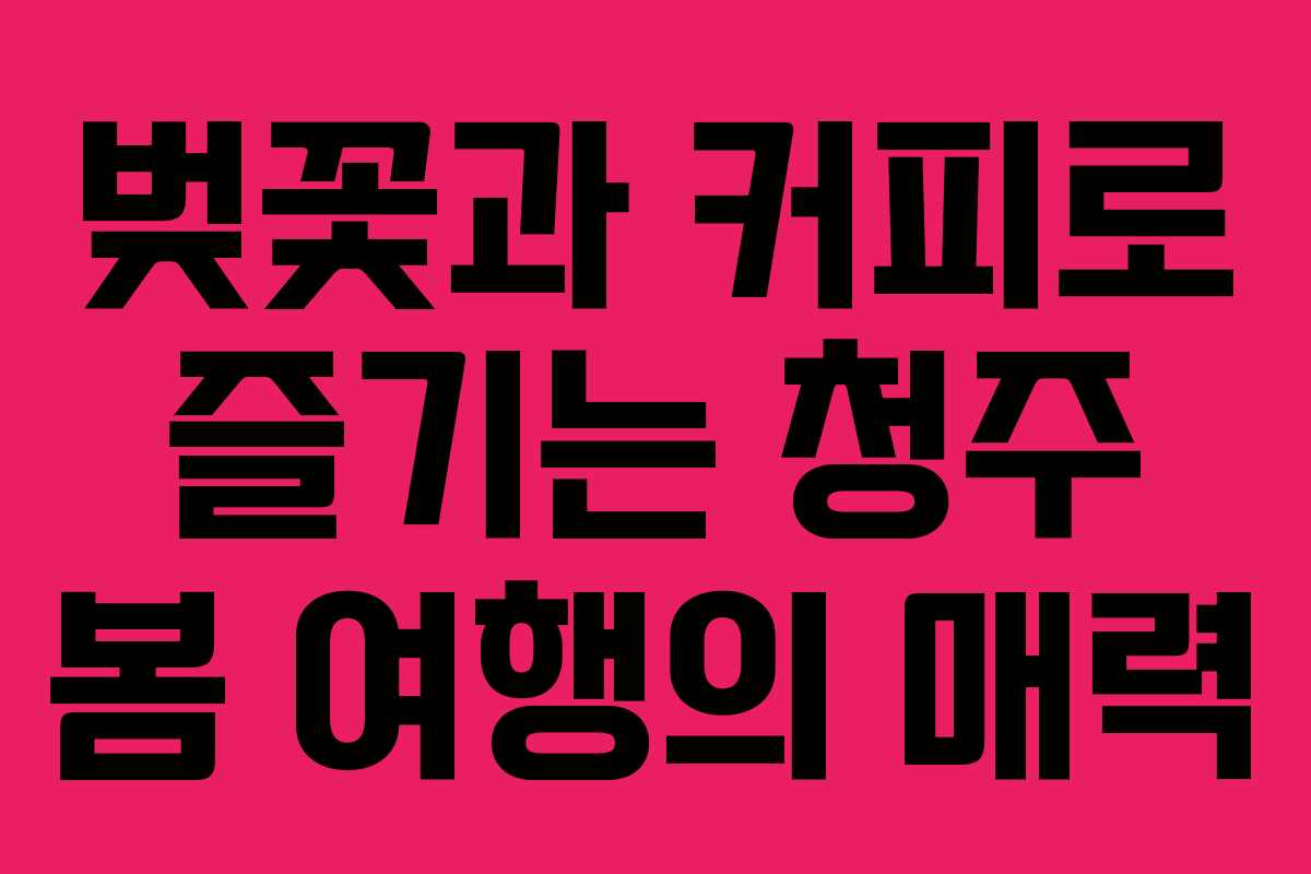 벚꽃과 커피로 즐기는 청주 봄 여행의 매력