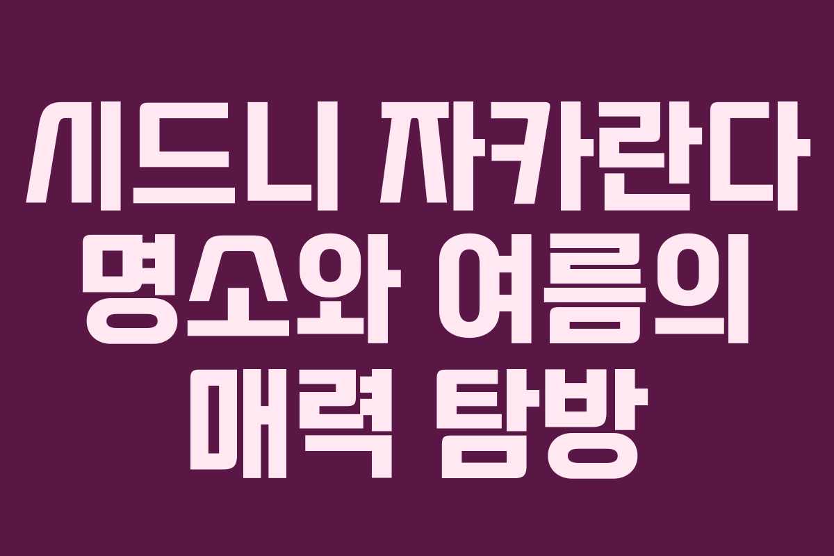 시드니 자카란다 명소와 여름의 매력 탐방
