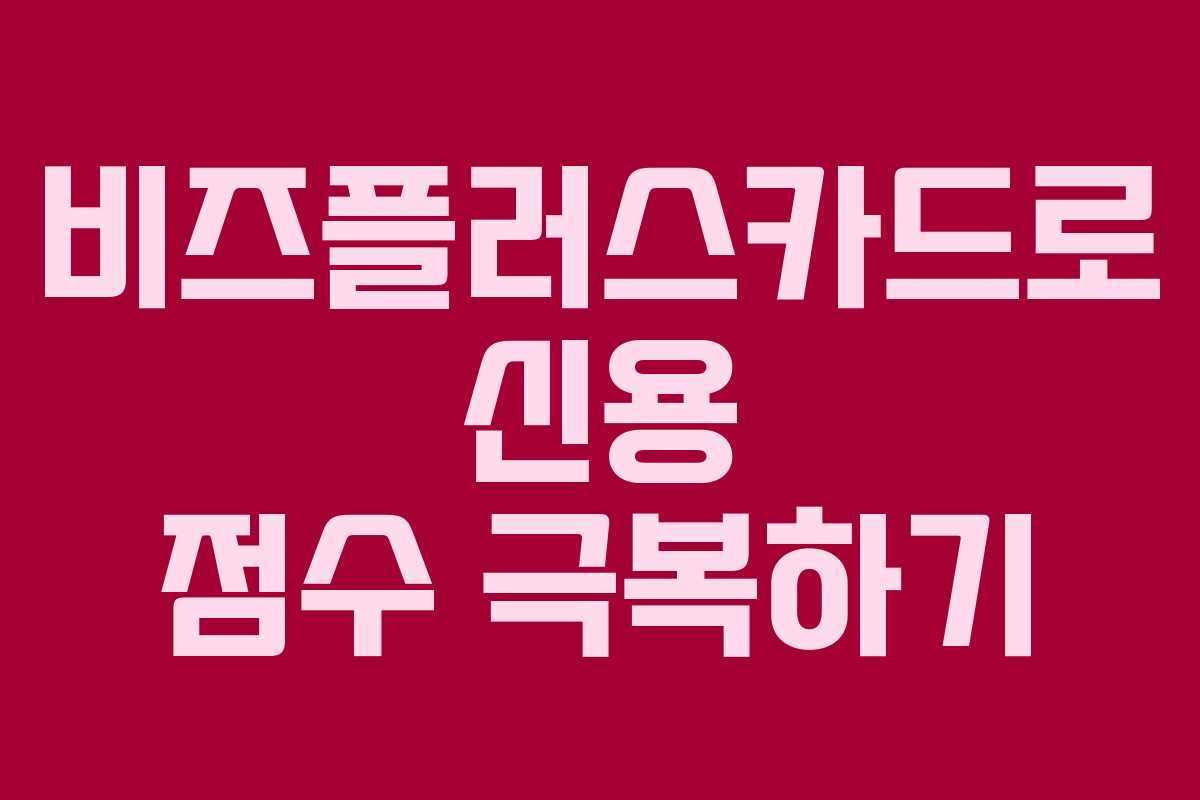 비즈플러스카드로 신용 점수 극복하기
