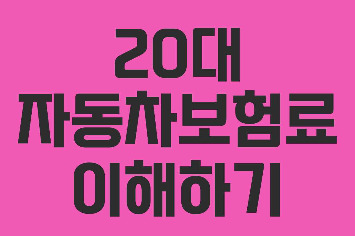 20대 자동차보험료 이해하기