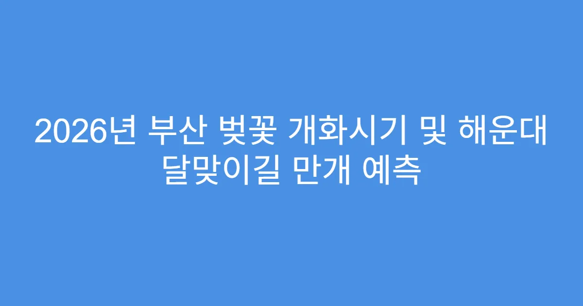 2026년 부산 벚꽃 개화시기 및 해운대 달맞이길 만개 예측