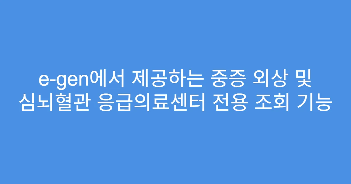 e-gen에서 제공하는 중증 외상 및 심뇌혈관 응급의료센터 전용 조회 기능
