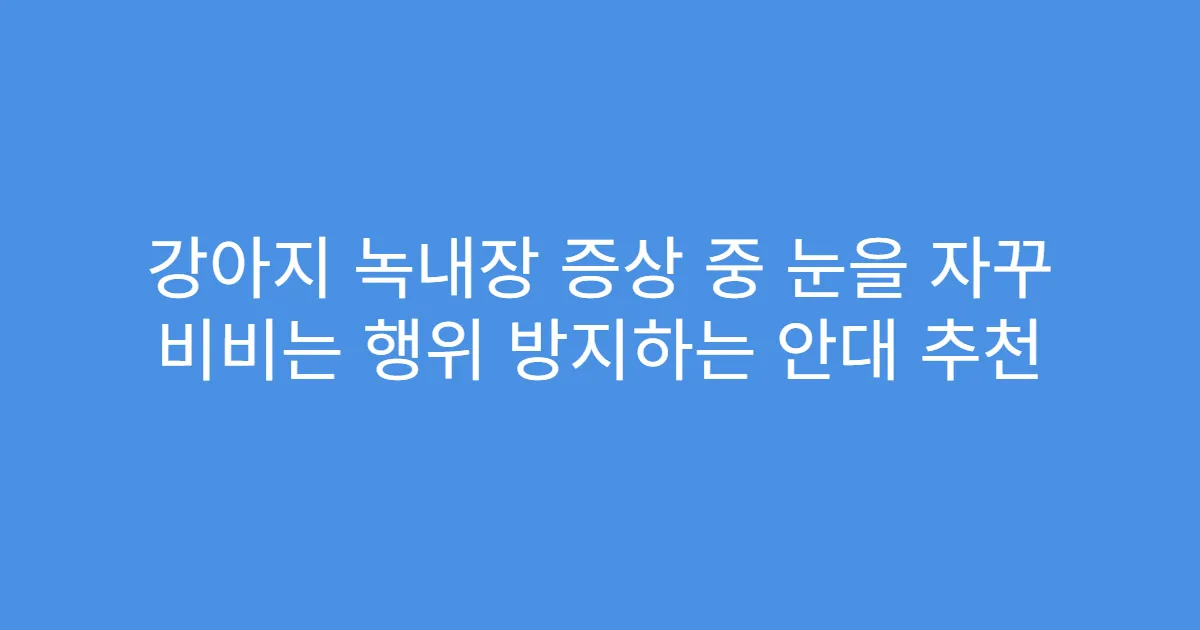 강아지 녹내장 증상 중 눈을 자꾸 비비는 행위 방지하는 안대 추천