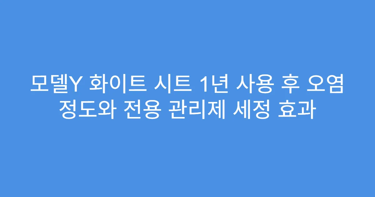모델Y 화이트 시트 1년 사용 후 오염 정도와 전용 관리제 세정 효과