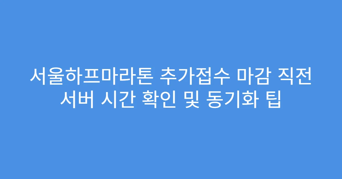 서울하프마라톤 추가접수 마감 직전 서버 시간 확인 및 동기화 팁
