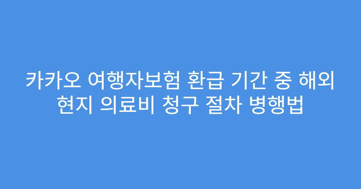 카카오 여행자보험 환급 기간 중 해외 현지 의료비 청구 절차 병행법