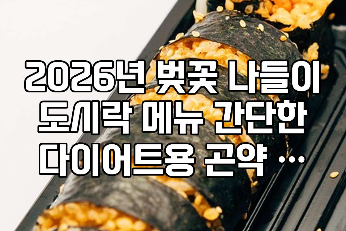 2026년 벚꽃 나들이 도시락 메뉴 간단한 다이어트용 곤약 김밥