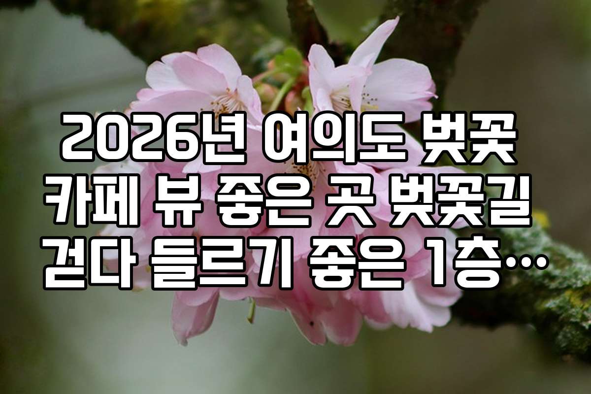 2026년 여의도 벚꽃 카페 뷰 좋은 곳 벚꽃길 걷다 들르기 좋은 1층 카페